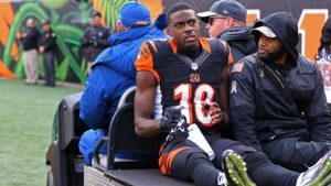 Bengals WR Green could be dealing with hamstring tear