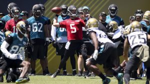 Optimism in force as Jaguars under new leadership
