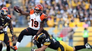 Bengals re-sign WR Tate