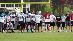 Newton (shoulder) a no-throw participant again