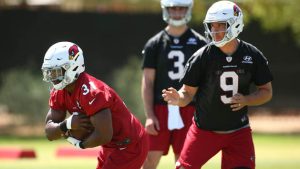 Report: Cardinals RB Johnson to sit out minicamp