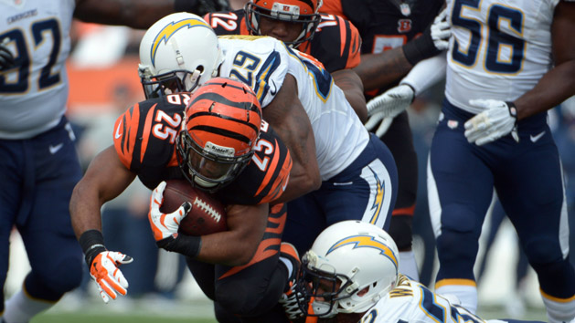 NFL: AFC Wildcard Playoff-San Diego Chargers at Cincinnati Bengals