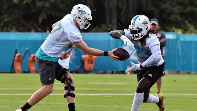 Jul 27, 2017; Davie, FL, USA; Miami Dolphins quarterback Ryan Tannehill (17) hands off the football to running back Jay Ajayi (23) during training camp at Baptist Health Training Facility at Nova Southeastern University. Photo Credit: Steve Mitchell-USA TODAY Sports
