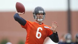 Bears QB Cutler leaves Texans game with concussion