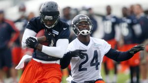 Bears lose CB Hayden to hamstring tear