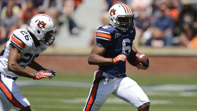 NCAA Football: Auburn-Spring Game